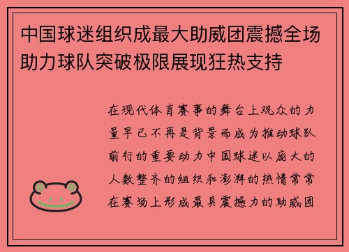 中国球迷组织成最大助威团震撼全场助力球队突破极限展现狂热支持